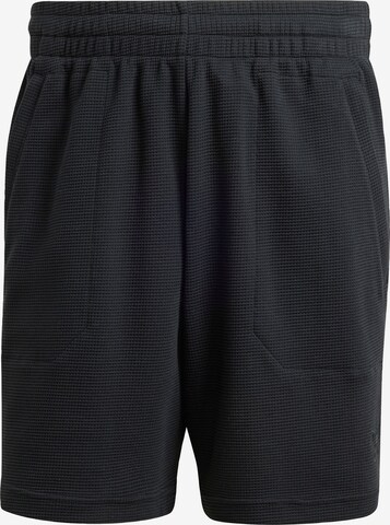 ADIDAS ORIGINALS Regular Workout Pants 'Essentials Trefoil' in Black: front