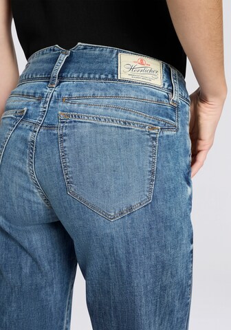 Herrlicher Boot cut Jeans in Blue