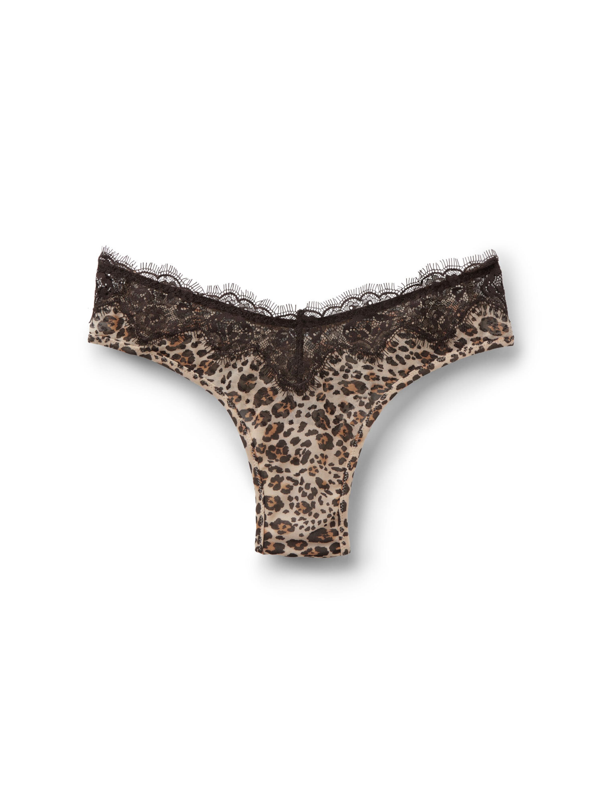 INTIMISSIMI Panty 'Simply Iconic' in Brown: front