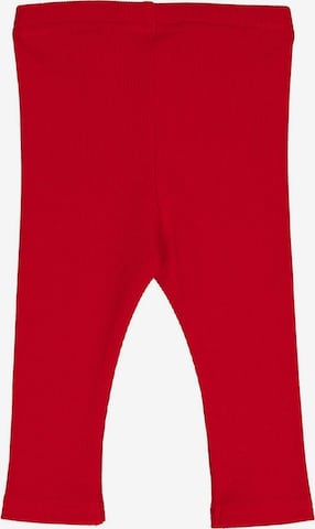 Fred's World by GREEN COTTON Regular Leggings in Red