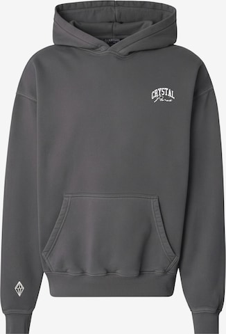 Crystal Paris Sweatshirt 'Nightwolf' in Grey: front