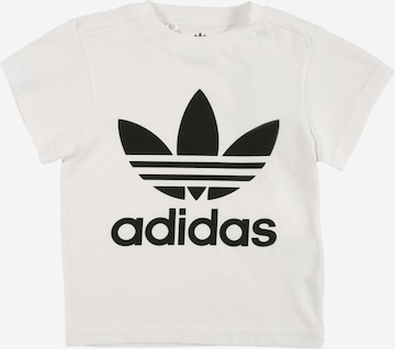 ADIDAS ORIGINALS T-Shirt 'Adicolor Trefoil' in Weiß: predná strana
