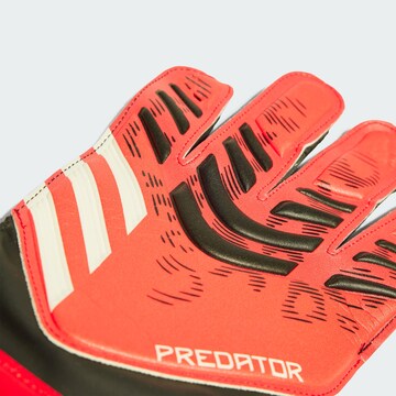 ADIDAS PERFORMANCE Sports gloves 'Predator Pro' in Red