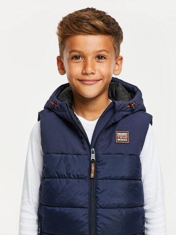 Gilet di Threadboys in blu