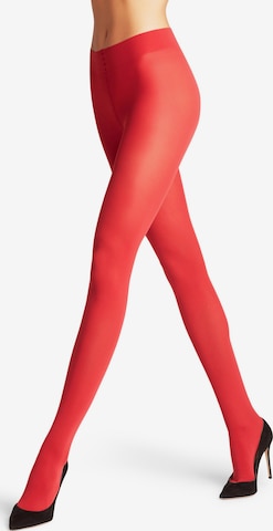 FALKE Tights 'Pure Matt' in Red: front