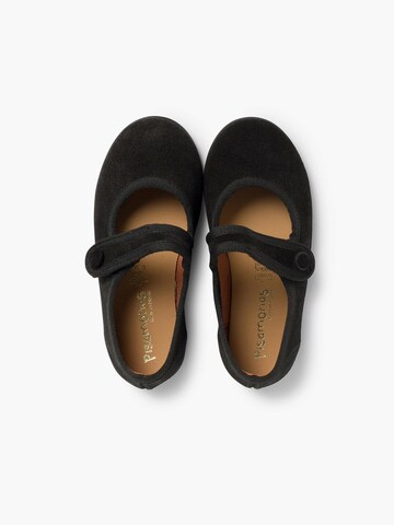 Pisamonas Flats in Black