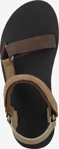 TEVA Hiking Sandals in Brown