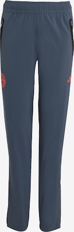 pilka ADIDAS PERFORMANCE Standartinis Sportinės kelnės 'FC Bayern München Tiro 25 Competition': priekis