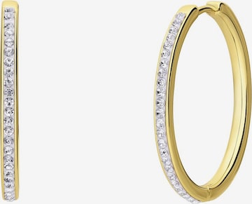 Lucardi Ohrringe 'Funkelndes' in Gold: Vorderseite