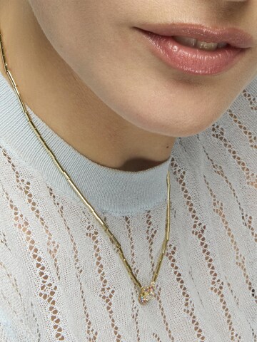 Chaîne 'Mezay' Luxenter en mélange de couleurs