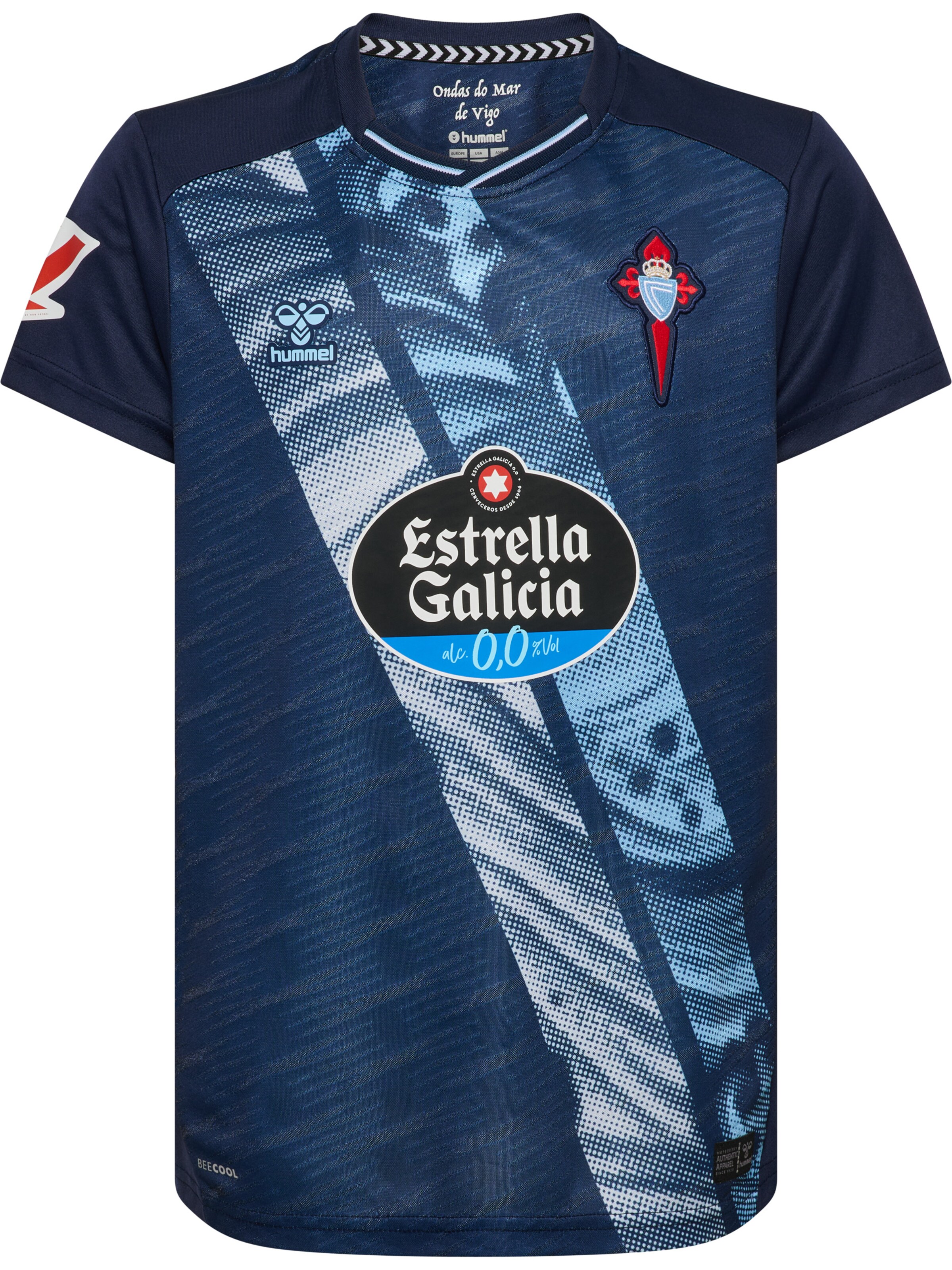 Hummel Funktionsskjorte 'RCCV 25/26' i blå: forside