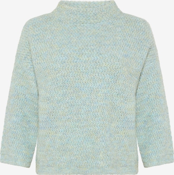 Cartoon Trui in Blauw: voorkant