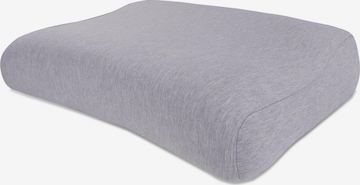 Aspero Pillow in Grey: front