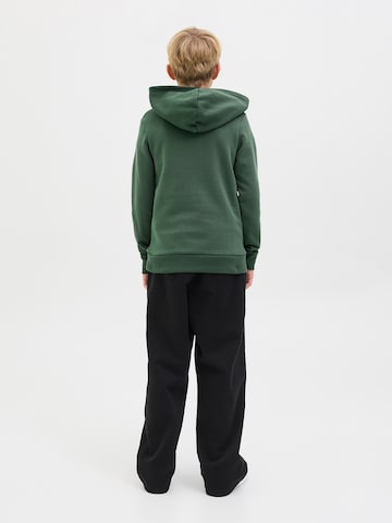 Jack & Jones Junior Sweatshirt 'JJARI' in Groen