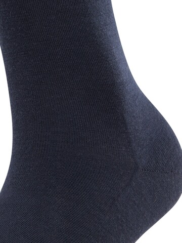 FALKE Kniestrümpfe 'Softmerino'‌‌‌‌‌‌ in Blau