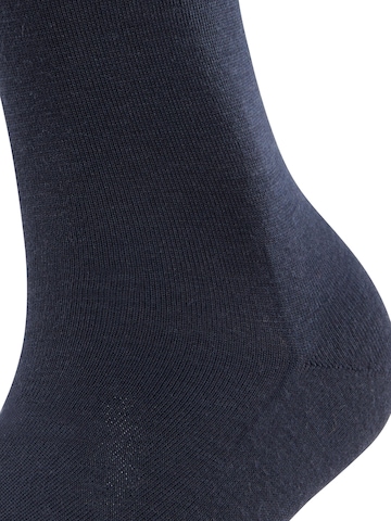 FALKE Kniestrümpfe‌‌‌‌‌‌‌‌ in Blau