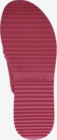 CAPRICE Pantolette in Pink