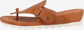 MUSTANG T-Bar Sandals in Brown