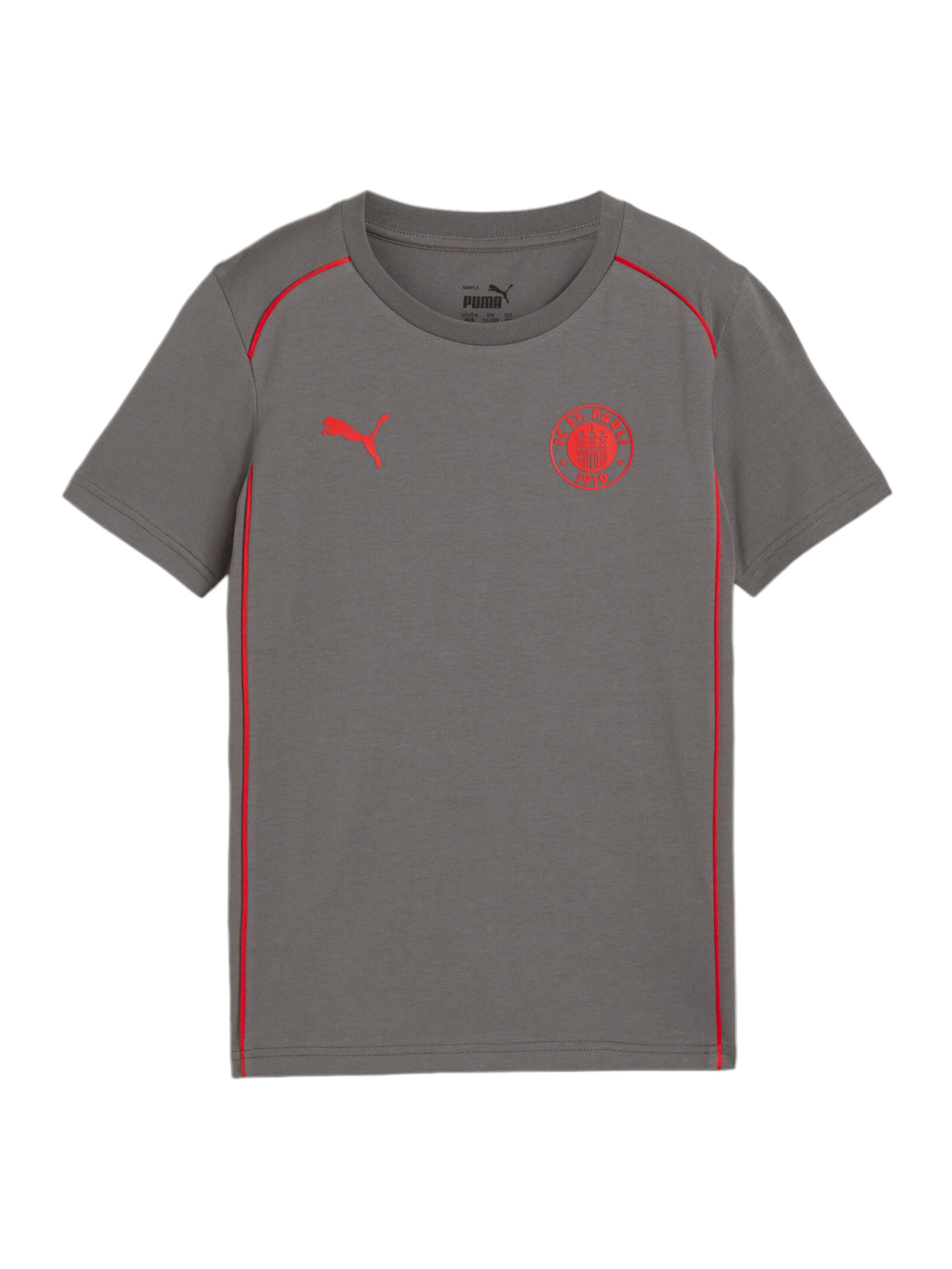 PUMA Performance Shirt 'FC St. Pauli' in Grey: front