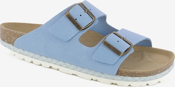 Bayton Mules in Blue