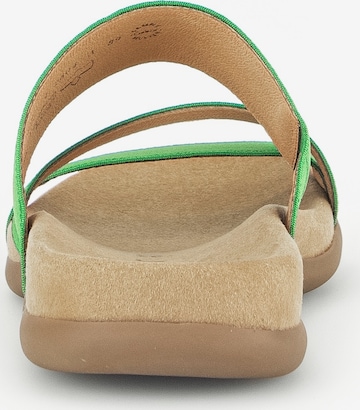 GABOR Mules in Green
