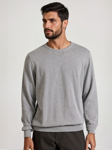Pull-over Funky Buddha en gris : devant