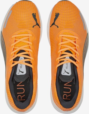 Chaussure de course 'Velocity NITRO 2 ' PUMA en orange