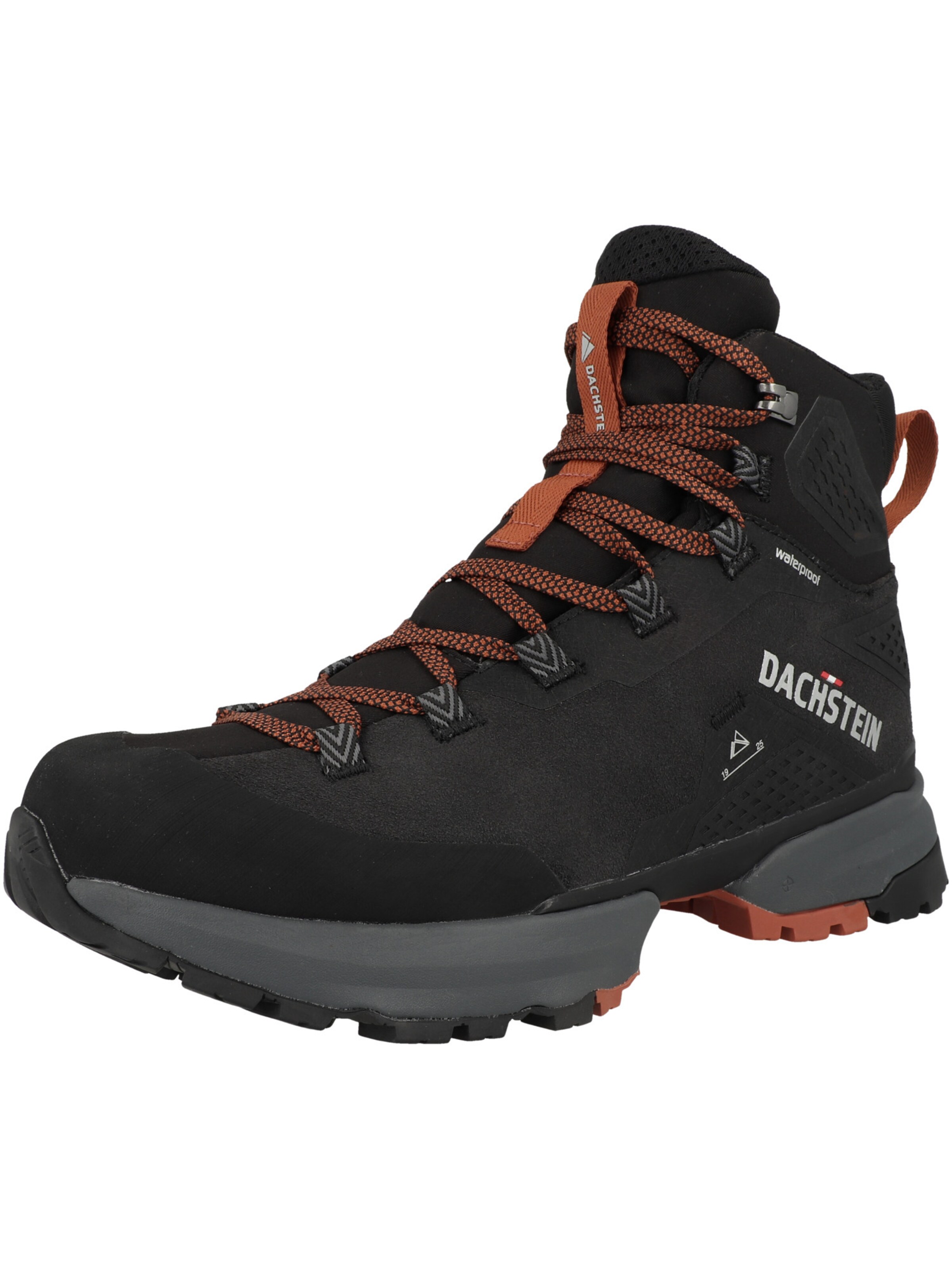 Dachstein Halbschuh' F Trek Guide' in Schwarz: Vorderseite