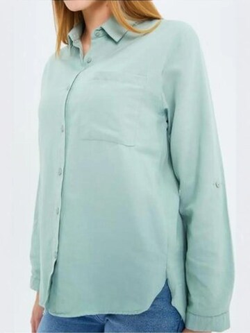 Chemisier MixRay en vert