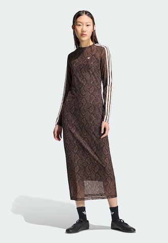 ADIDAS ORIGINALS Kleid in Braun: Vorderseite