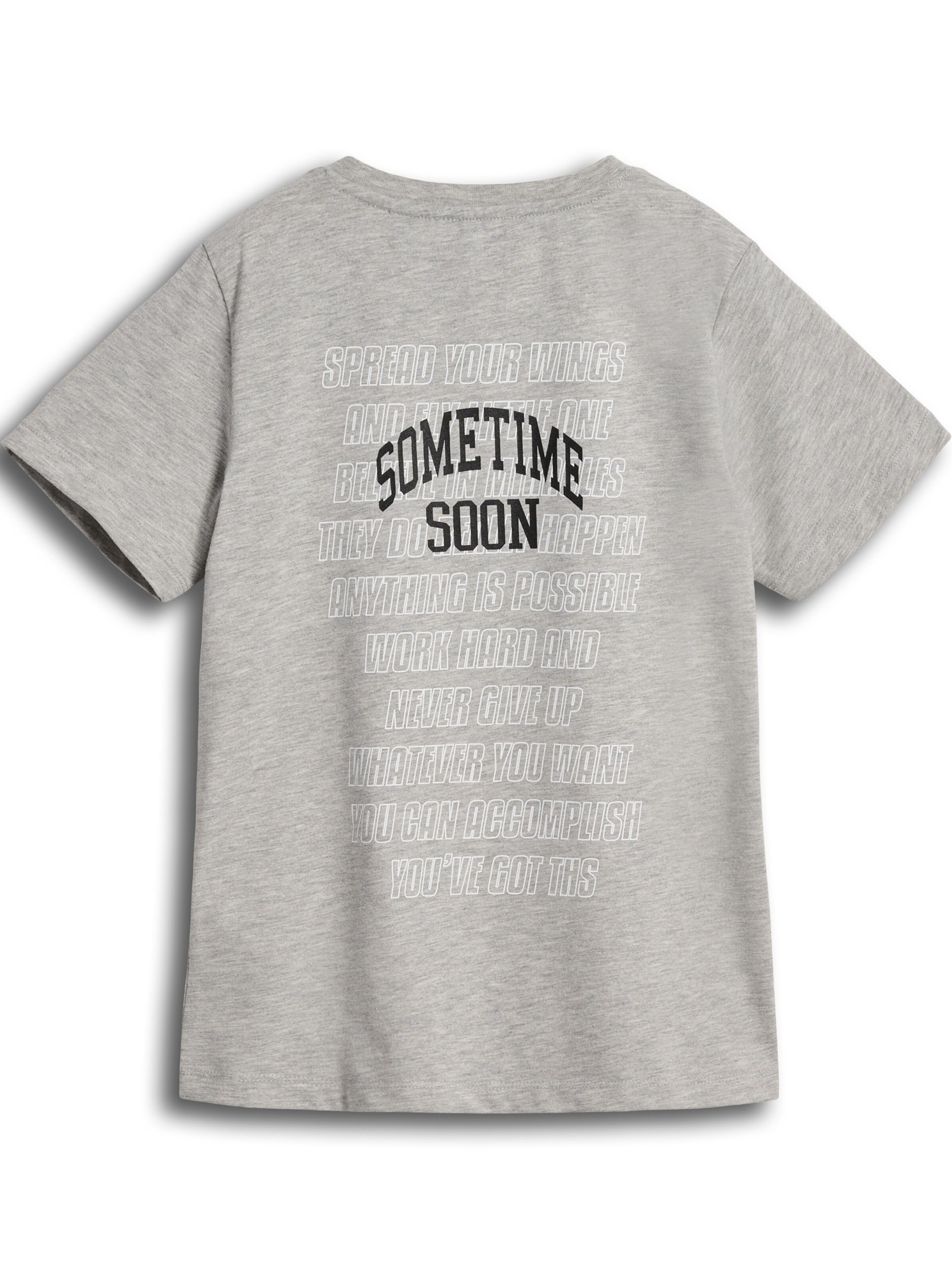 SOMETIME SOON Shirts 'Empower' i grå