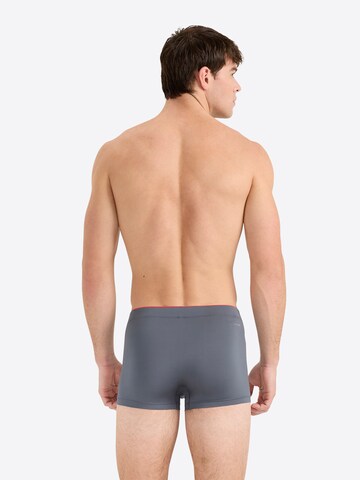 ADIDAS SPORTSWEAR Trunk ' Active Micro Tech ' in Grau
