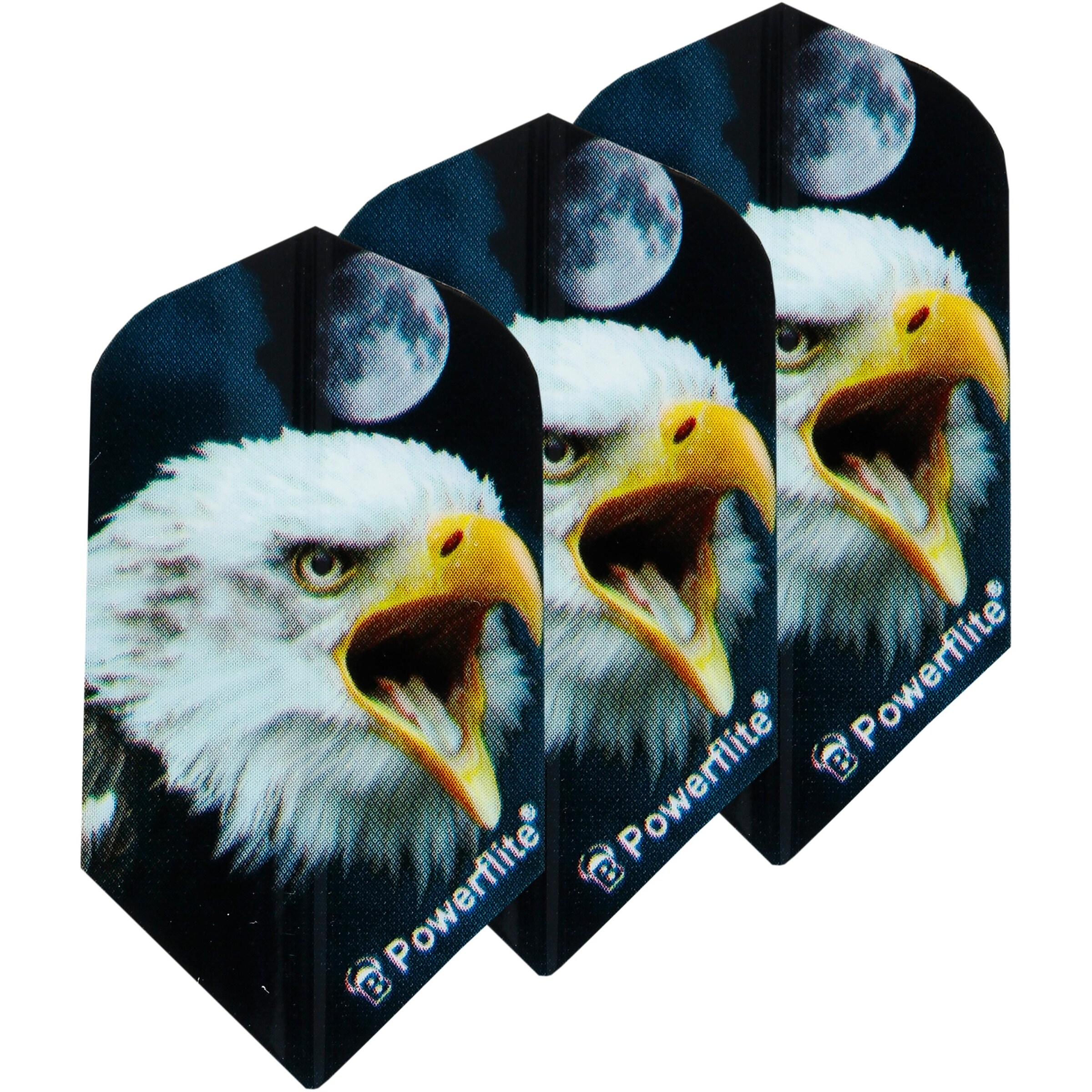 BULL'S Dartpfeil in Schwarz: Vorderseite