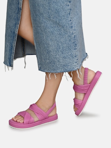 Crickit Strap Sandals 'JANEKE' in Pink