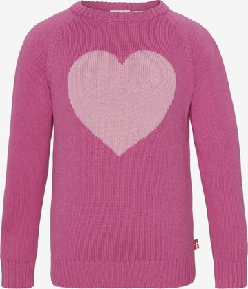 Racoon Outdoor Trui 'Reese' in Roze: voorkant