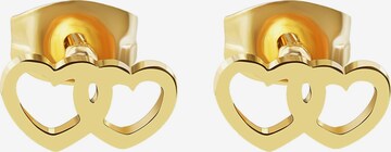 Akzent Earrings 'Biena, silberfarbig, langlebig' in Gold: front
