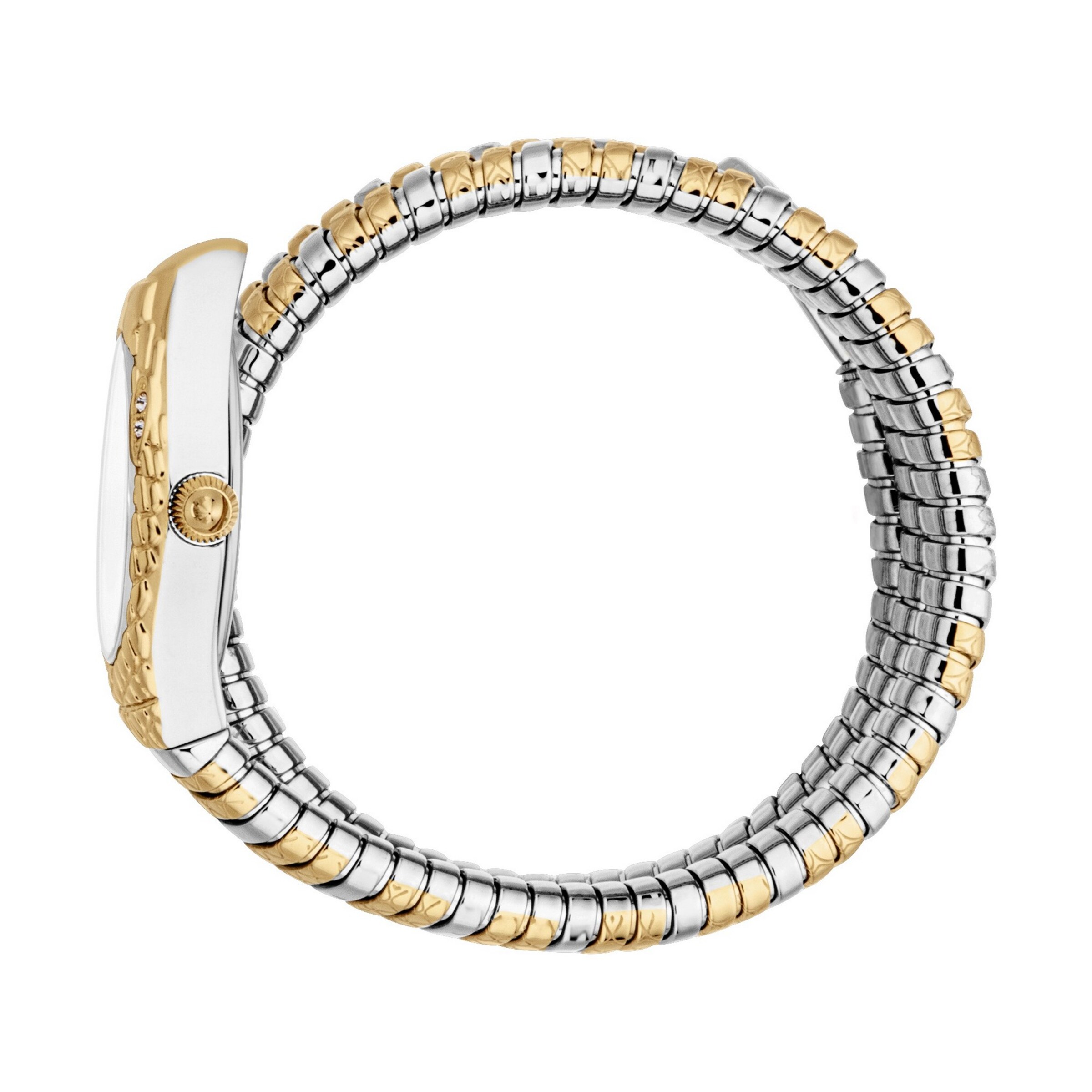 Just Cavalli Time Analog Watch in Silver