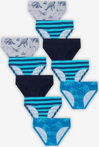 MINOTI Underpants in Blue: front