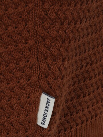Jack & Jones Plus Sweater 'BLUMIGUEL' in Brown