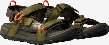 THE NORTH FACE Sandalen in Groen