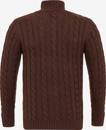 Felix Hardy Pullover in Braun