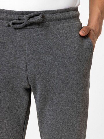 Williot Tapered Pants 'Esteban' in Grey