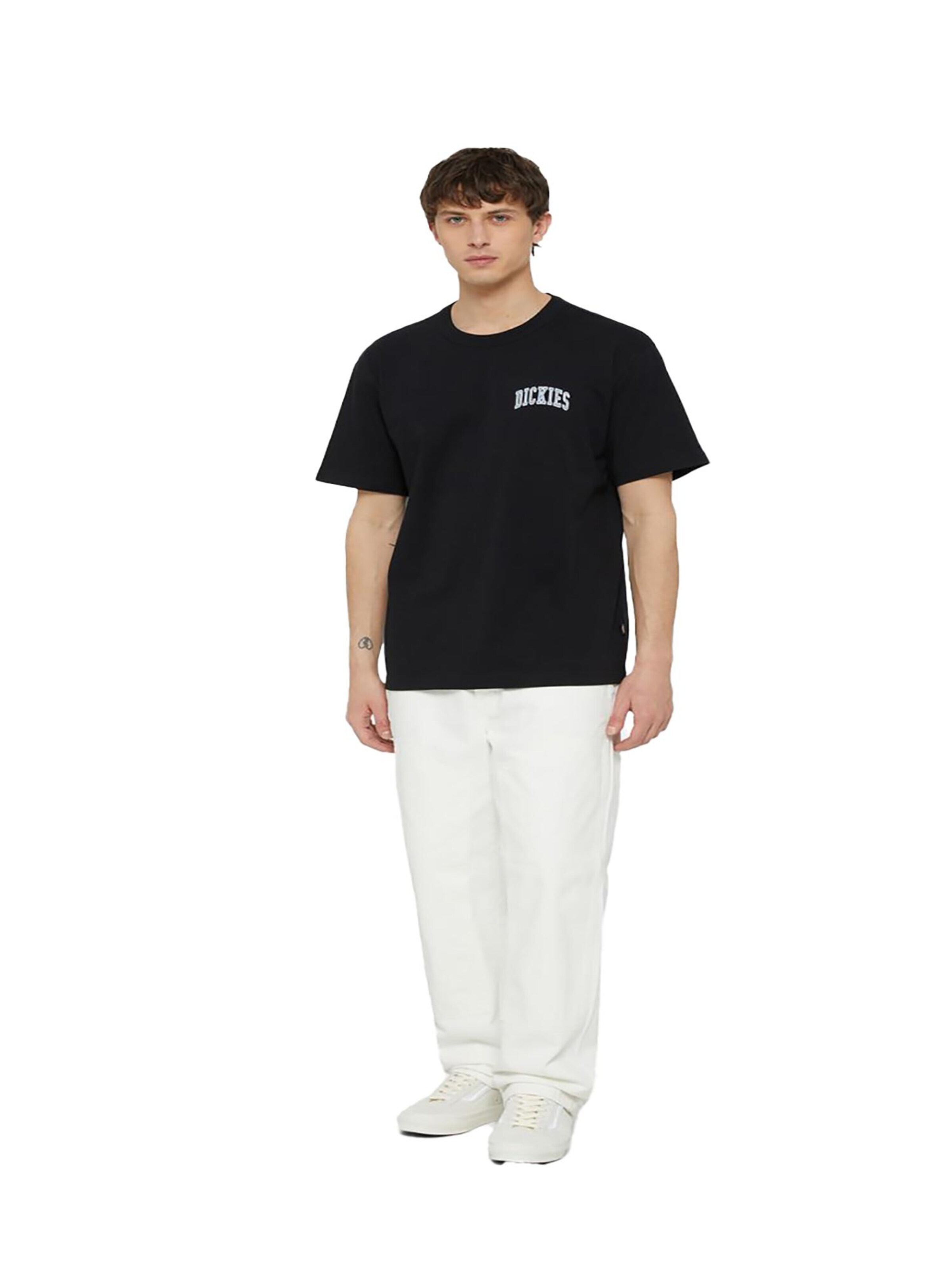 DICKIES Shirt 'Aitkin' in Schwarz