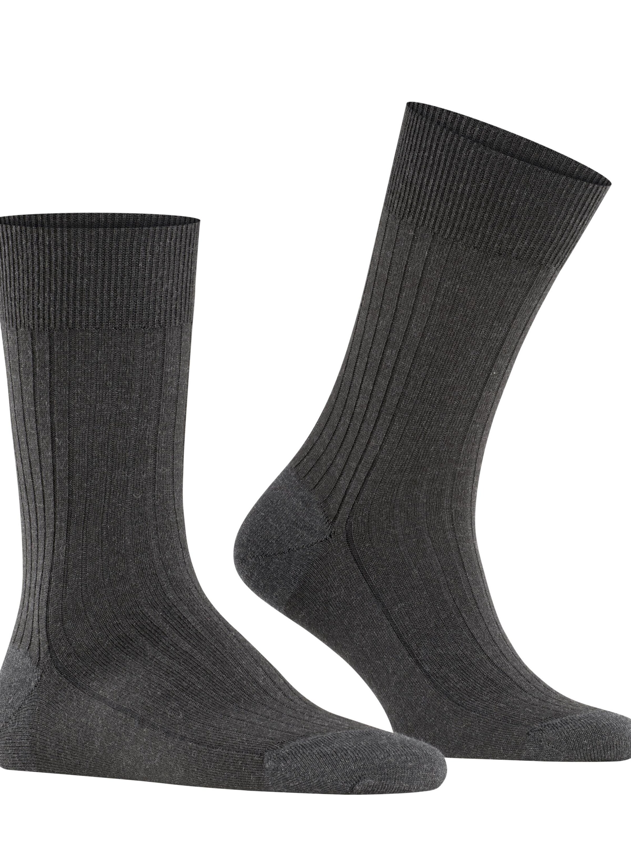 FALKE Socks 'Bristol Pure' in Grey