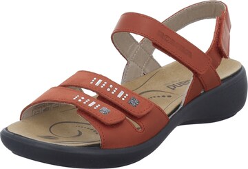 Westland Sandals 'IBIZA' in Red