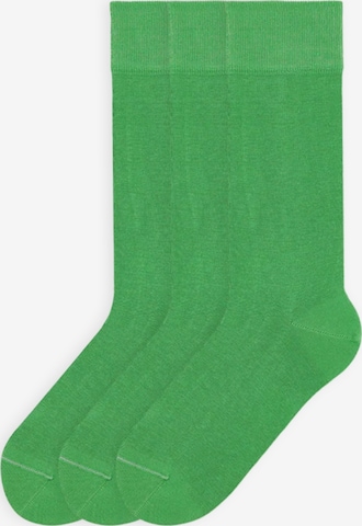 Von Jungfeld Socken 'Colour' in Grün: Vorderseite