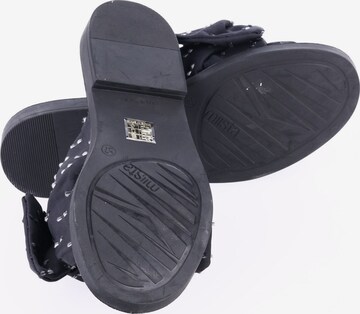miista Sandals & High-Heeled Sandals in 36 in Black