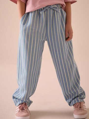 Next Loose fit Pants in Blue: front