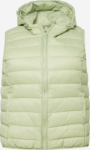 Gilet 'NEW TAHOE' di ONLY Carmakoma in verde: frontale