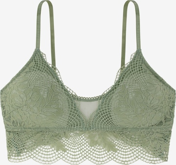 Dorina Bustier BH 'ACACIA' in Groen: voorkant